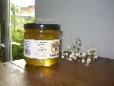 DSCN3084.webp