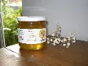 DSCN3086.webp