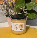 Crémeux de Printemps